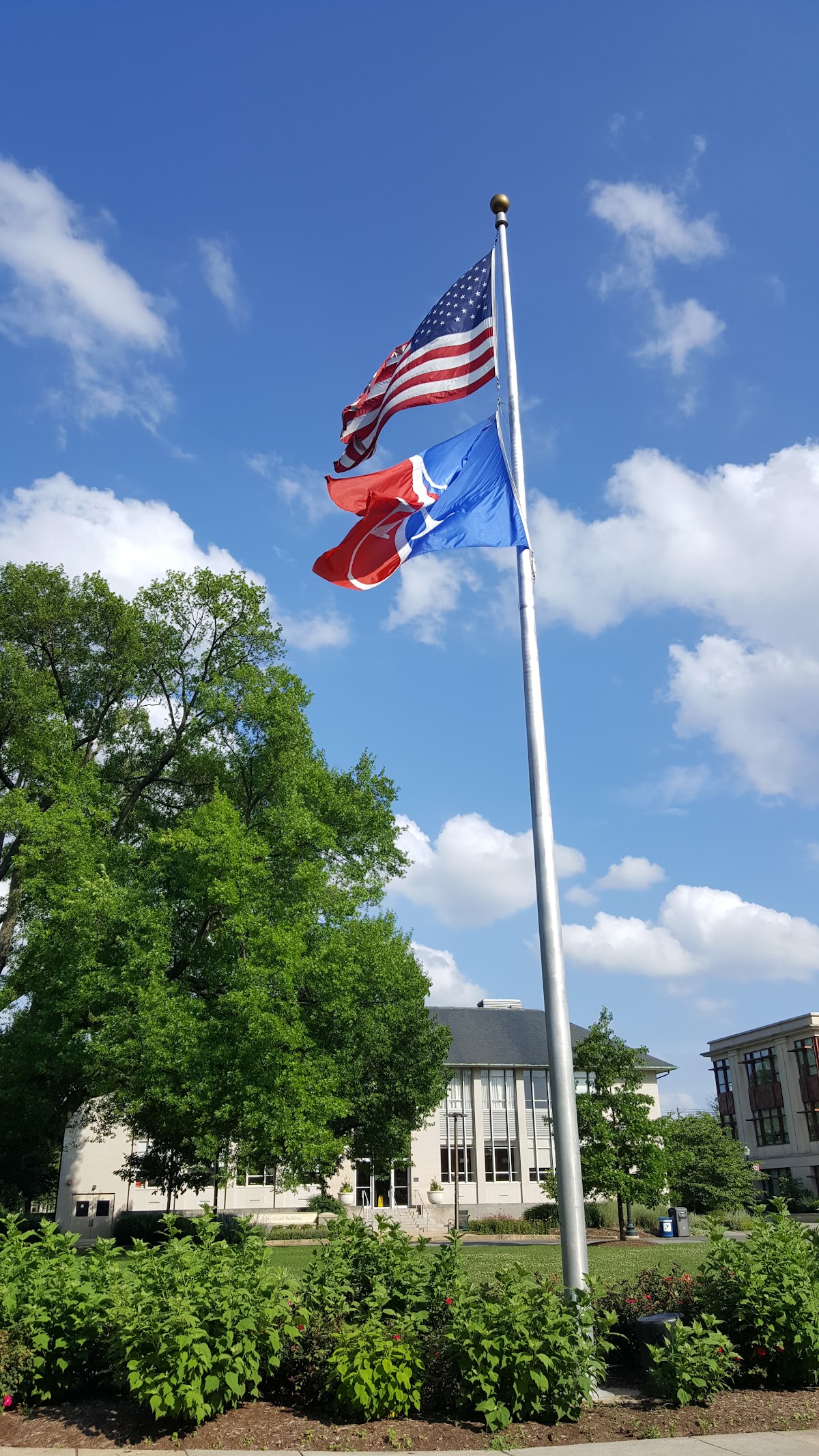 American University photo 9