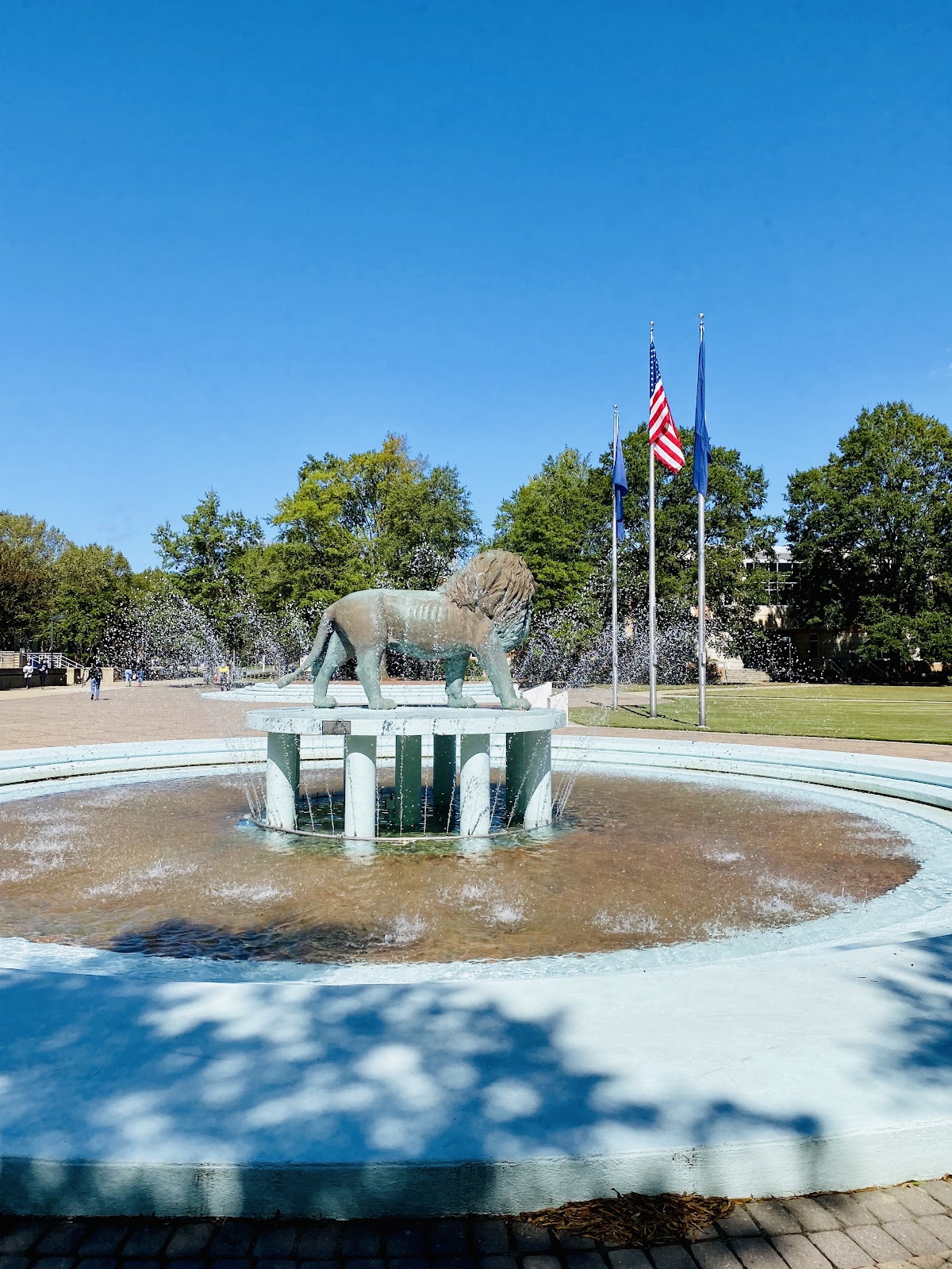 Old Dominion photo 8