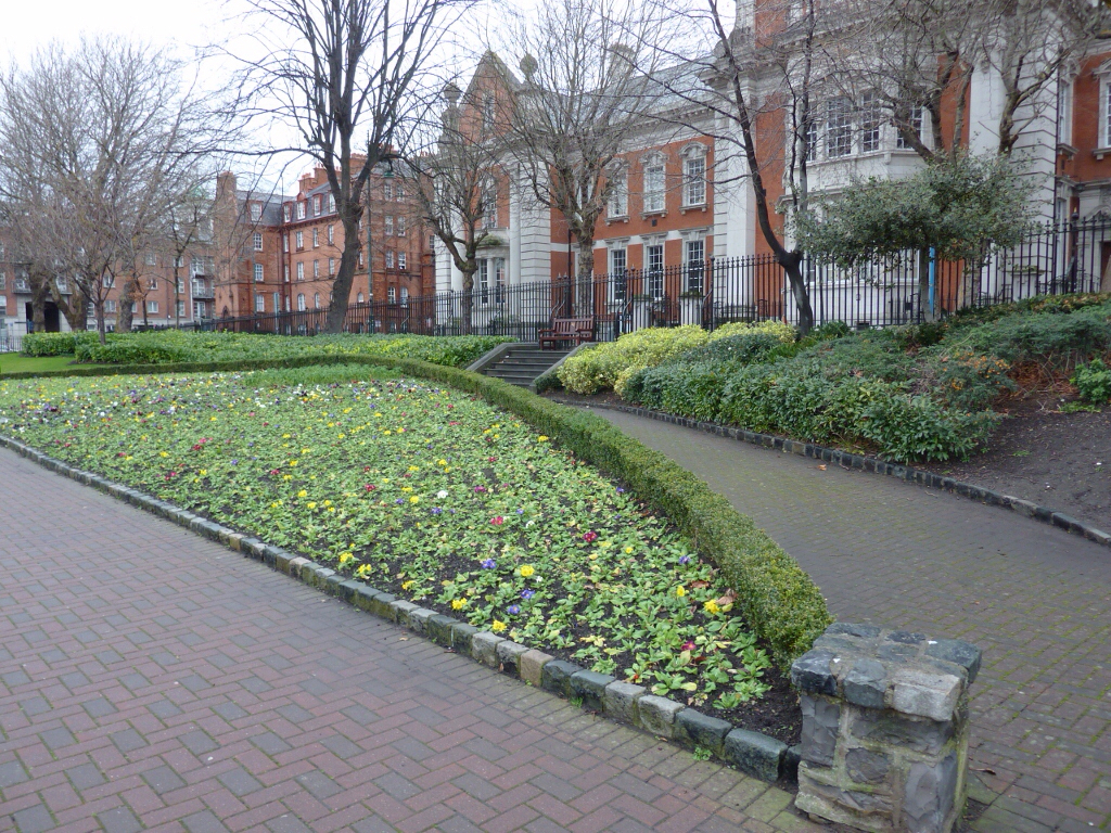 Liberties College photo 3