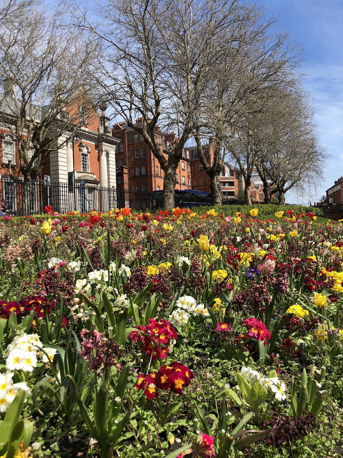 Liberties College photo 7