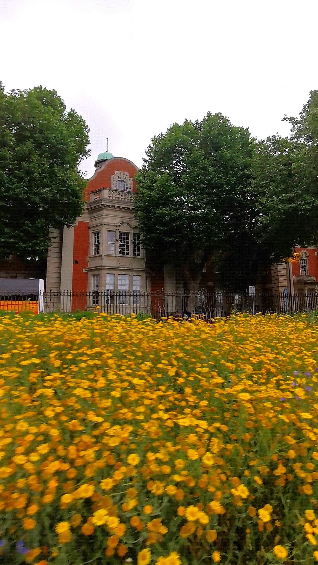 Liberties College photo 8