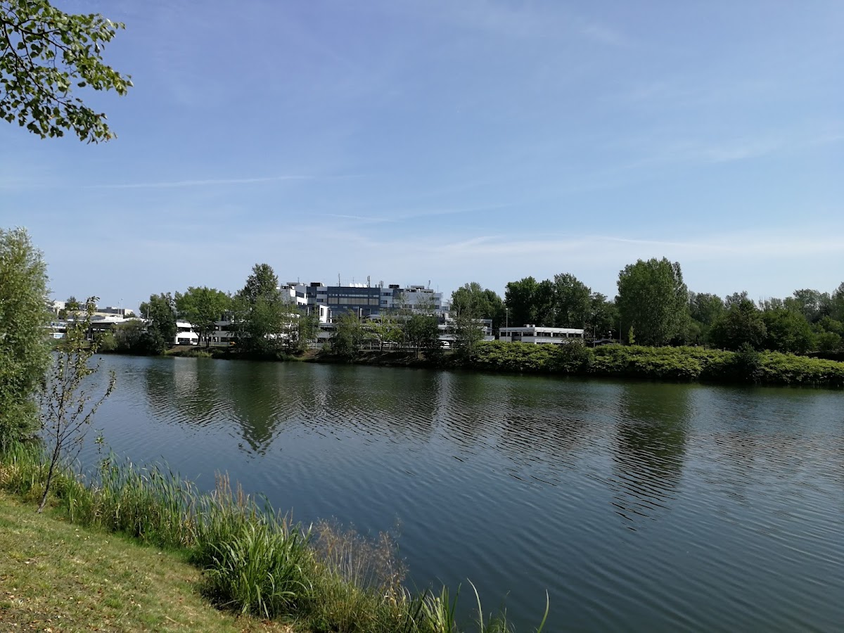 University of Economics in Katowice photo 7