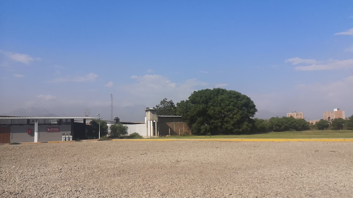 Private University of the North photo 1