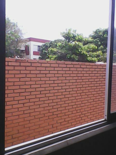 Private University of the North photo 7