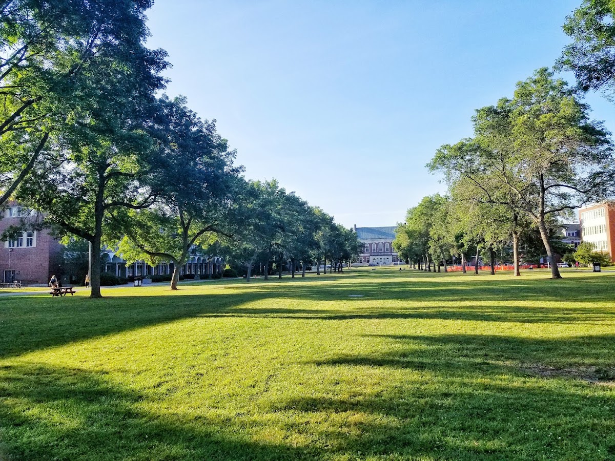 University of Maine photo 3