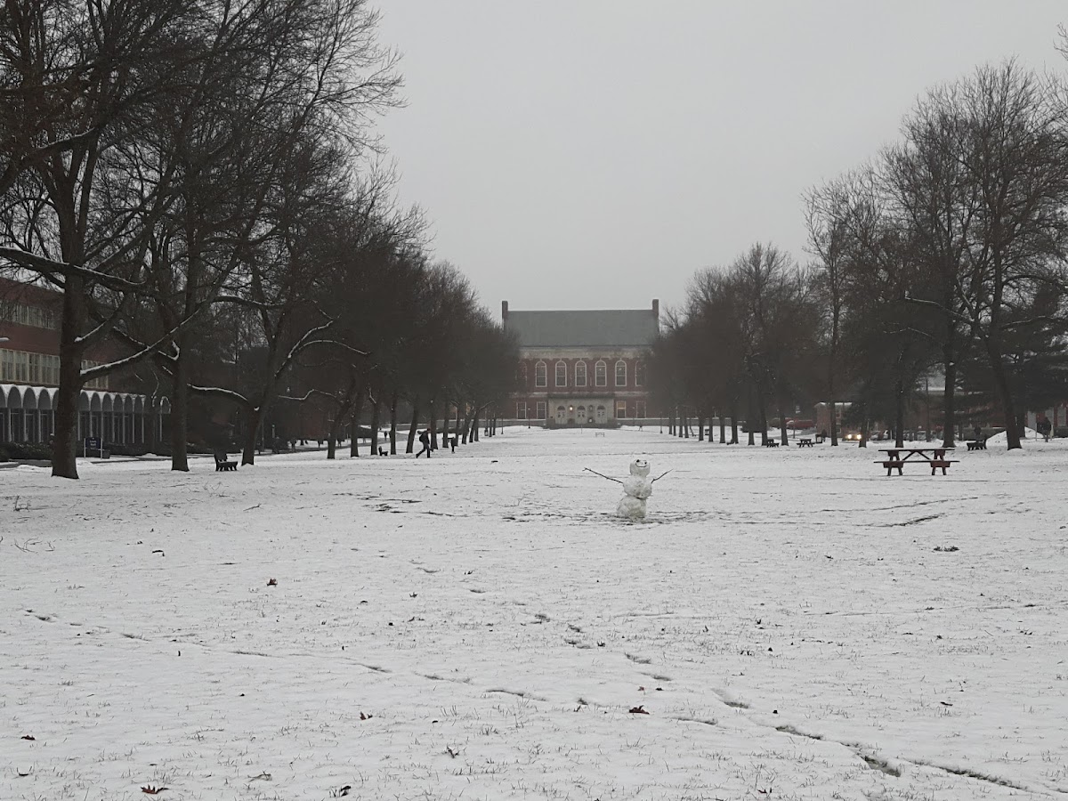 University of Maine photo 4