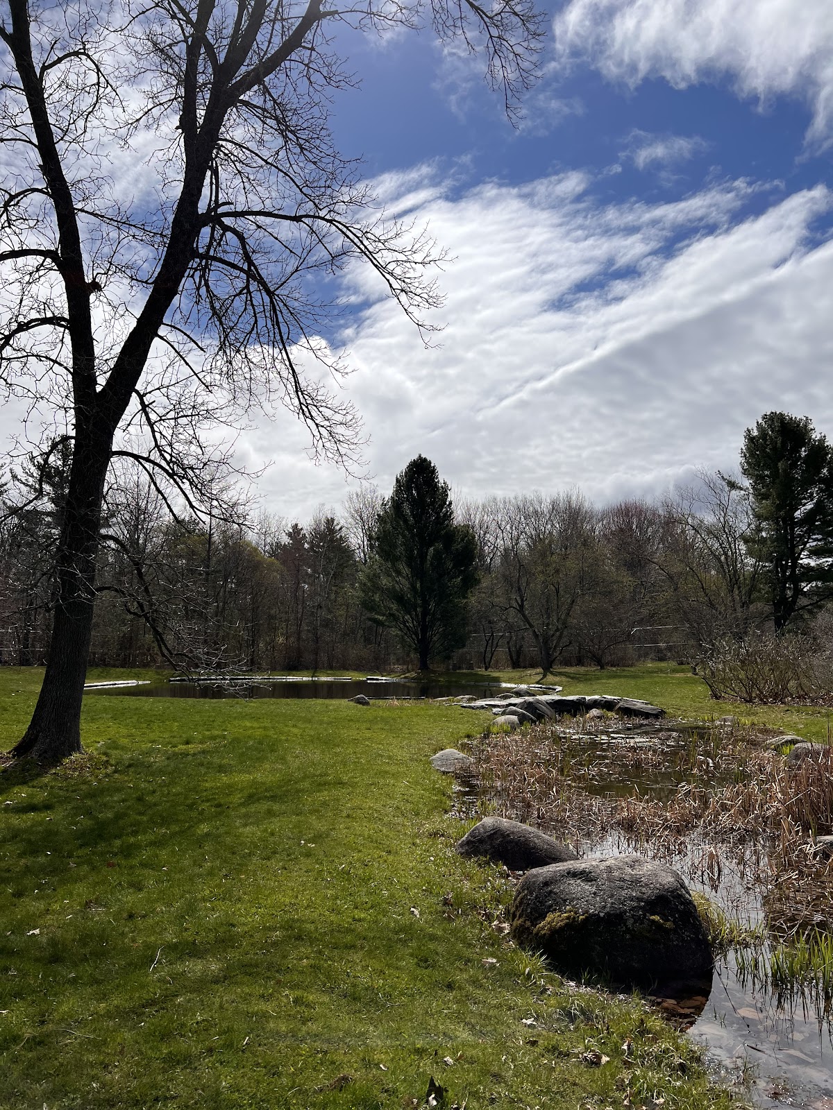 University of Maine photo 8