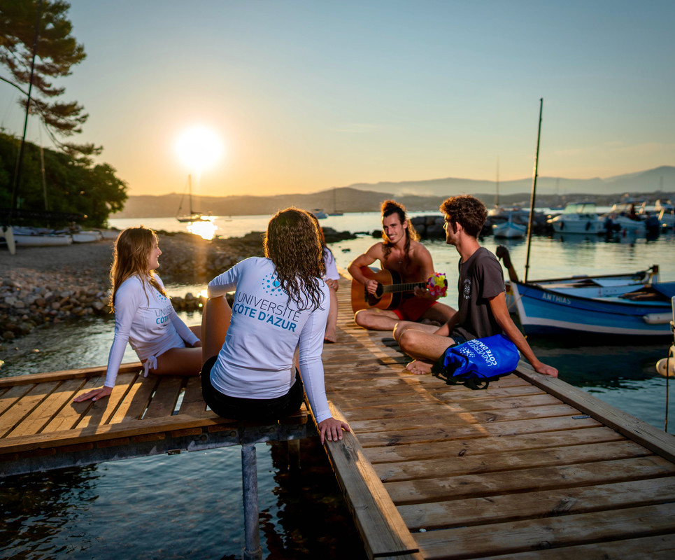 University of Nice Sophia Antipolis photo 6