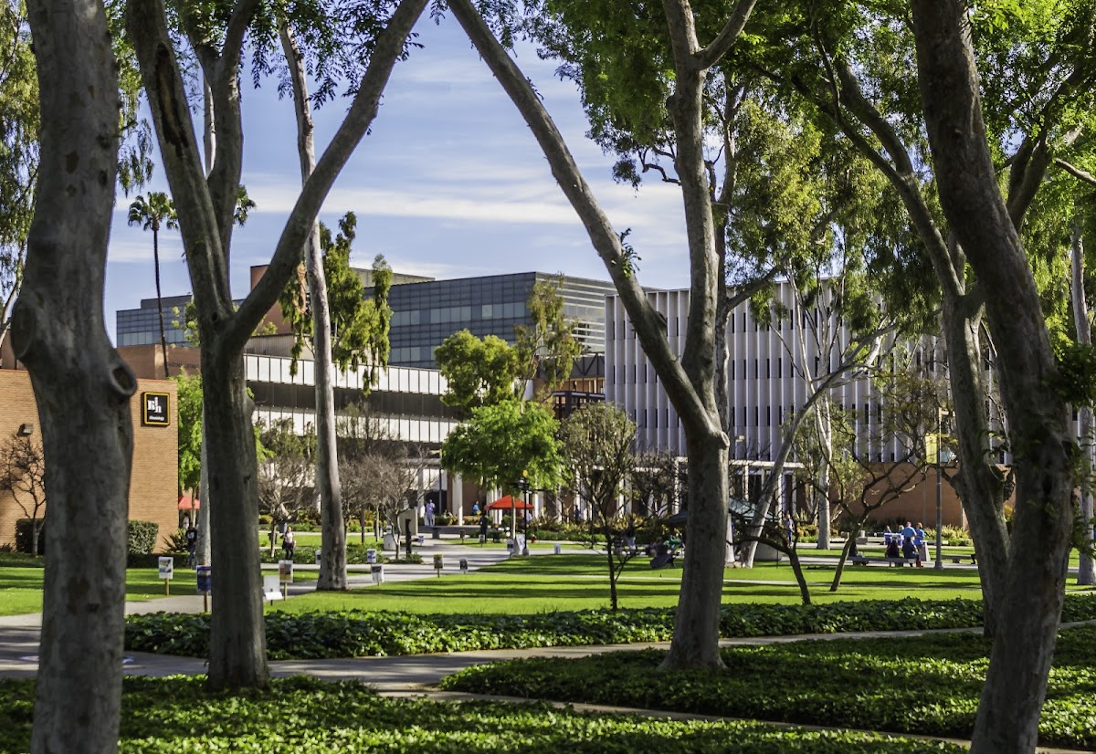 California State University Long Beach photo 3