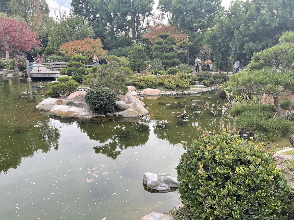 California State University Long Beach photo 6