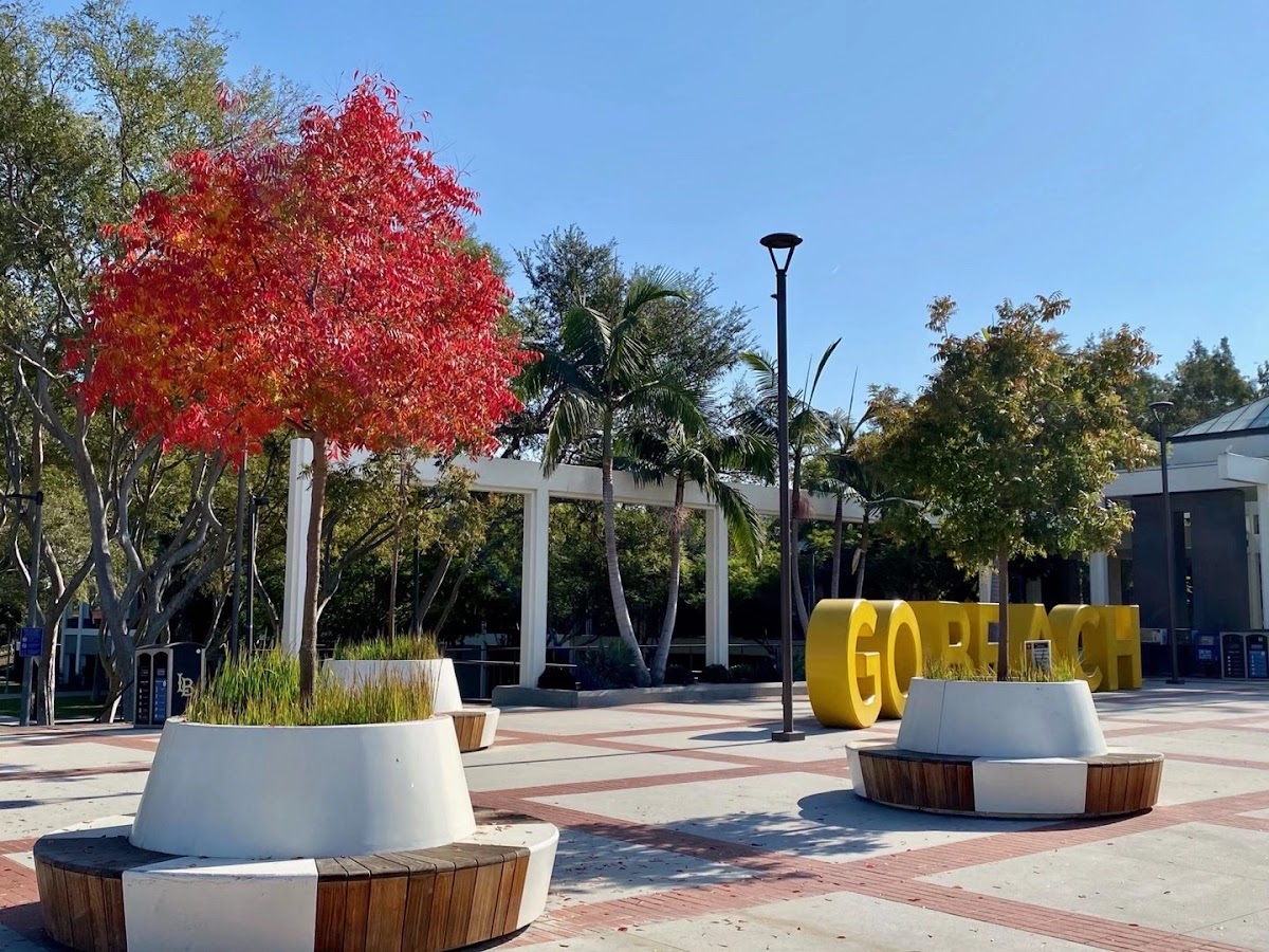 California State University Long Beach photo 8