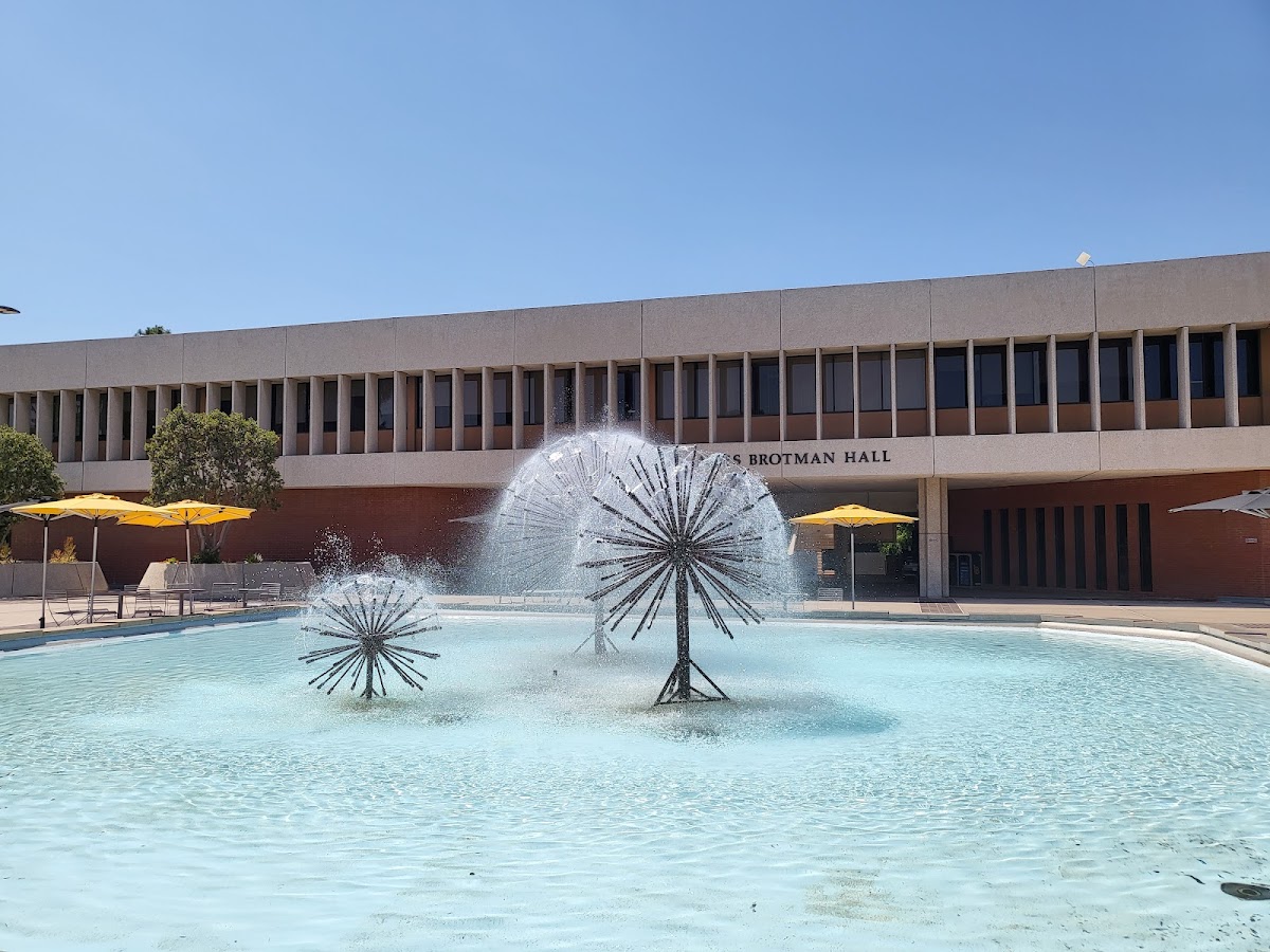 California State University Long Beach photo 9