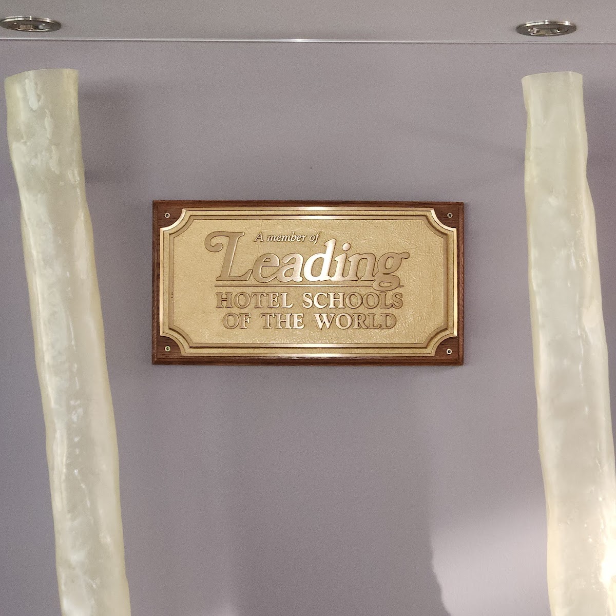 Pacific International Hotel Management School (PIHMS) photo 3