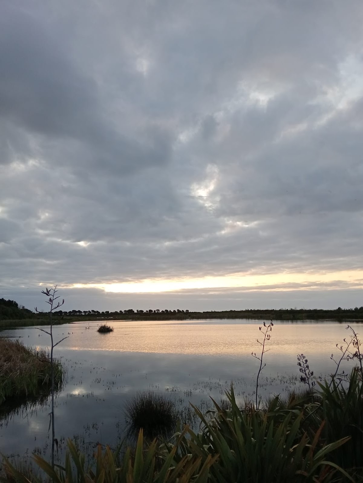 Pacific International Hotel Management School (PIHMS) photo 8