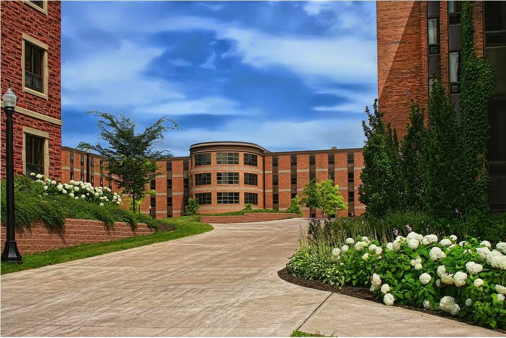 Mount Allison University photo 3