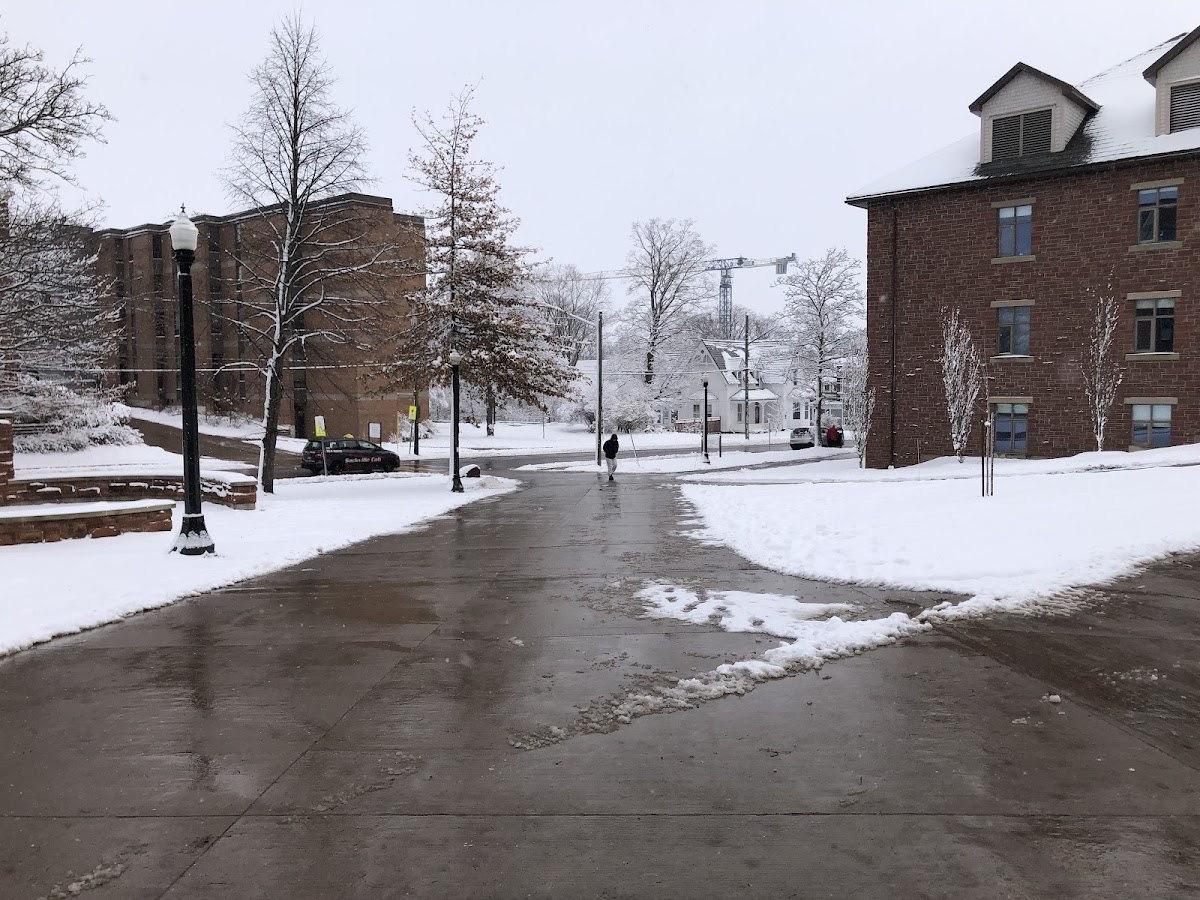 Mount Allison University photo 8