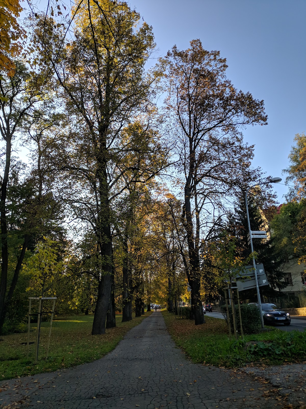 Matej Bel University in Banská Bystrica photo 9
