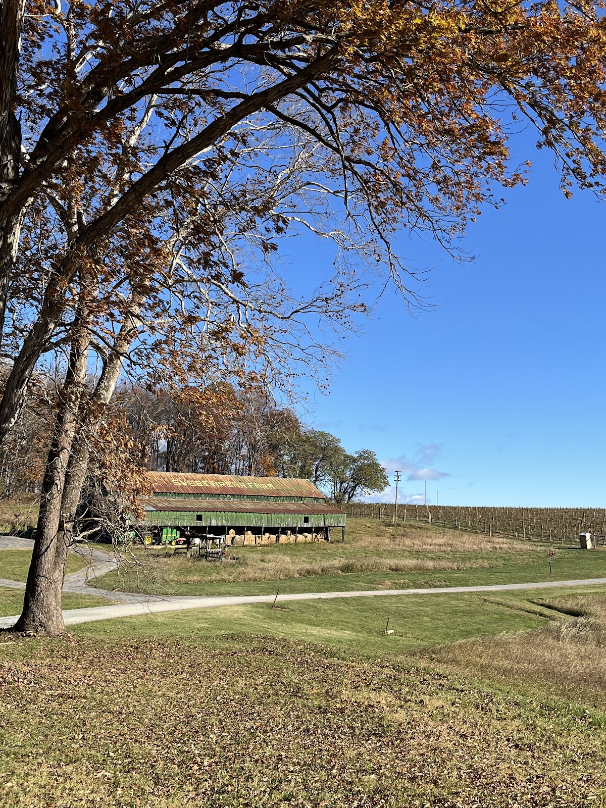 Sweet Briar College photo 8