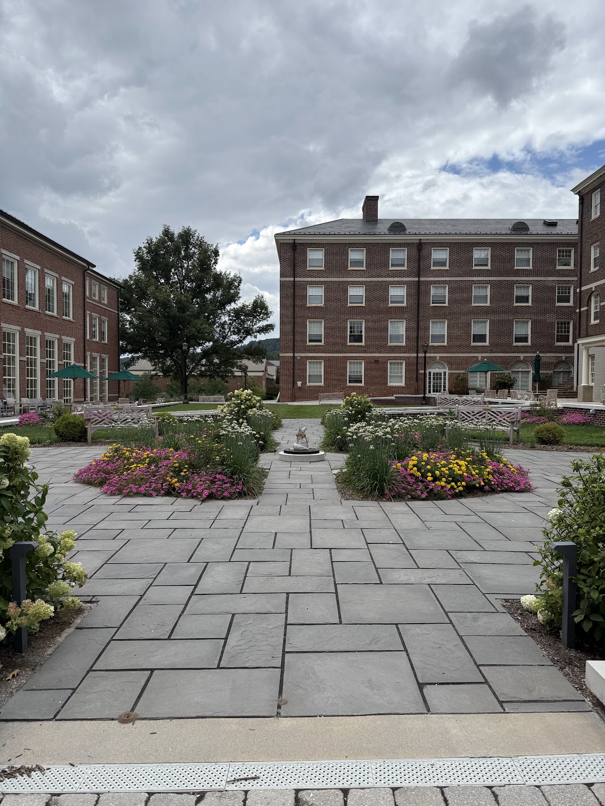 Sweet Briar College photo 9