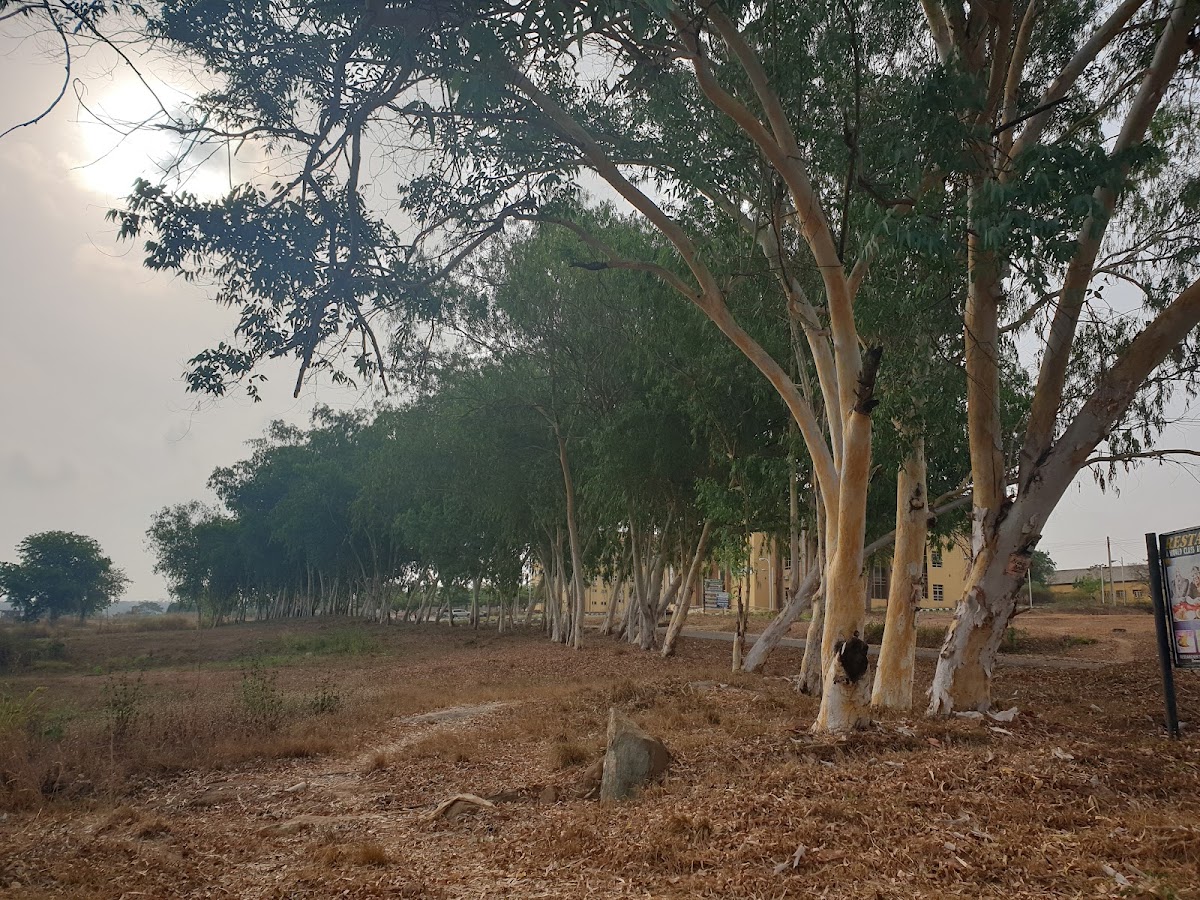 University of Ilorin photo 6