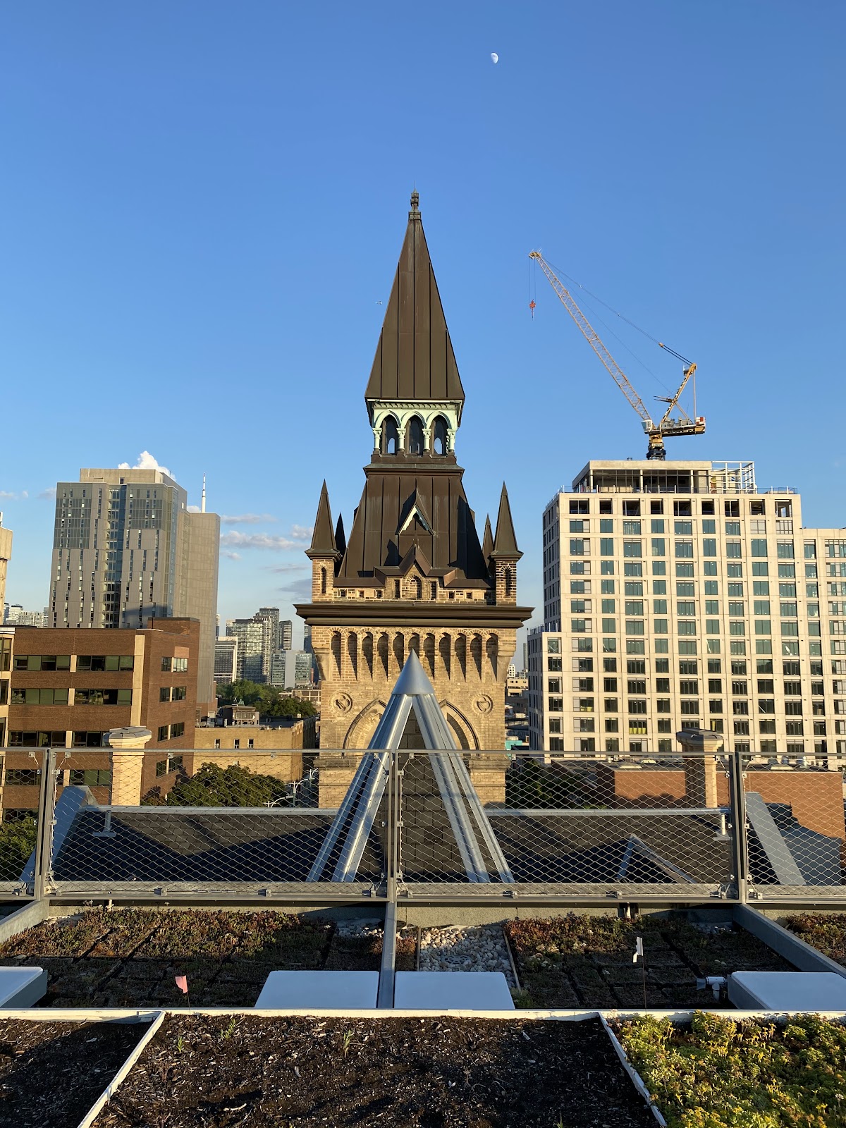 University of Toronto School of Architecture and Landscape Design photo 8