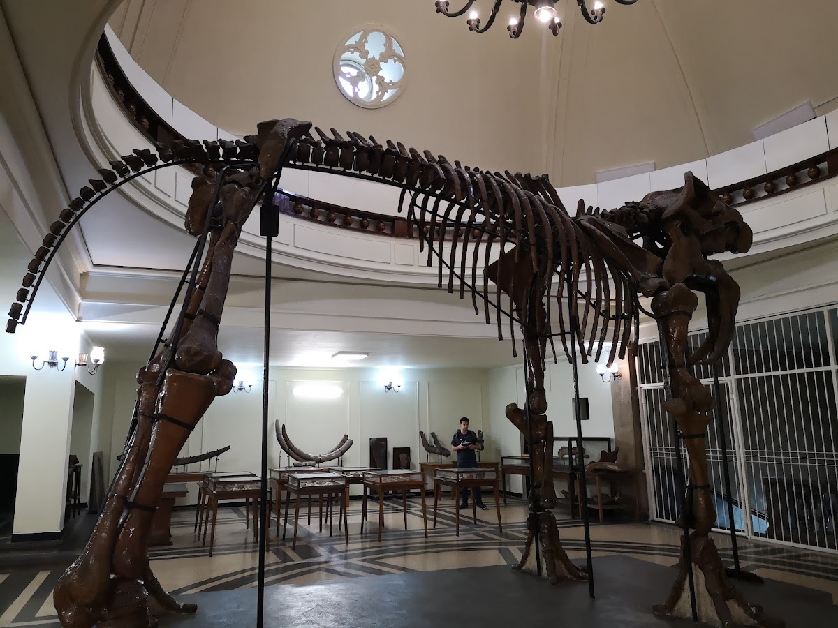 Sofia University St. Kliment Ohridski photo 5