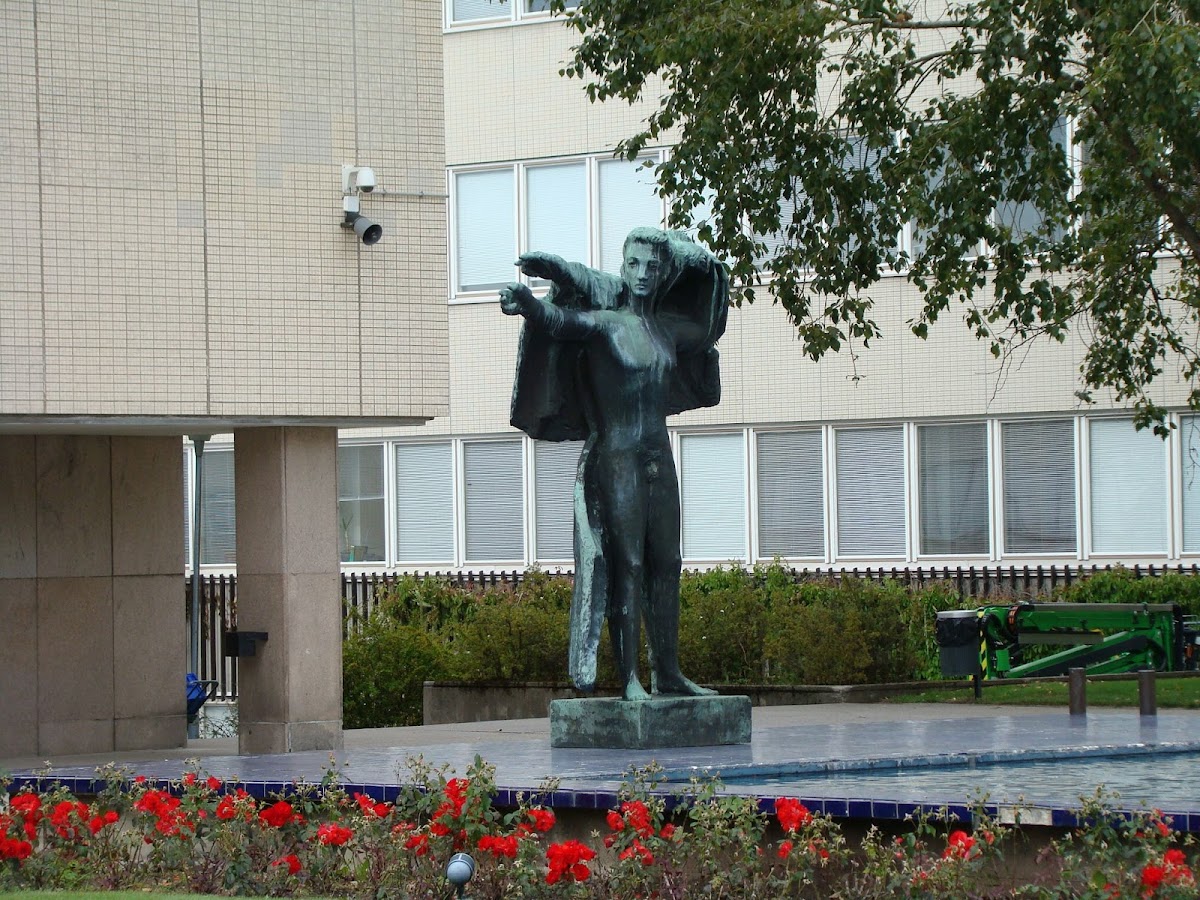 University of Turku photo 5