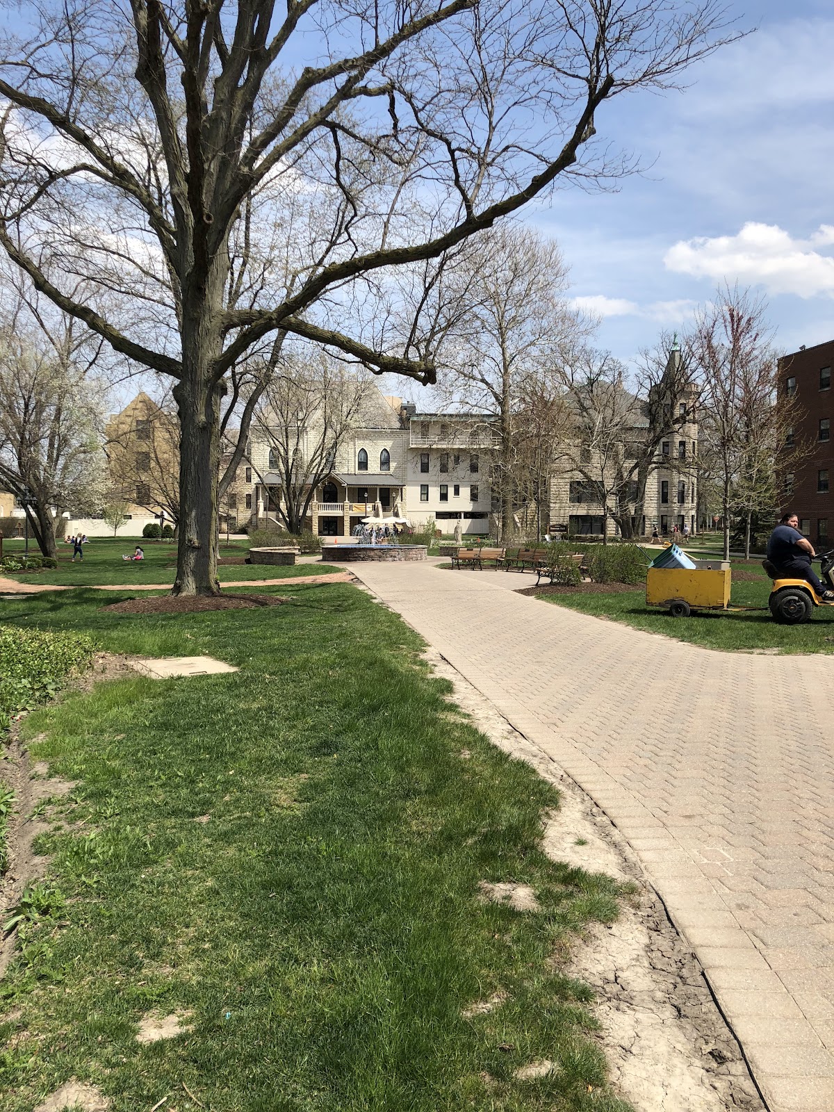 University of St Francis photo 8