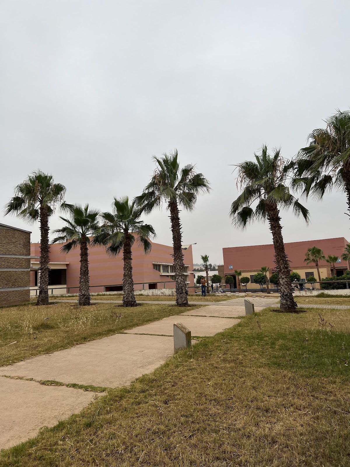 University Hassan I photo 4