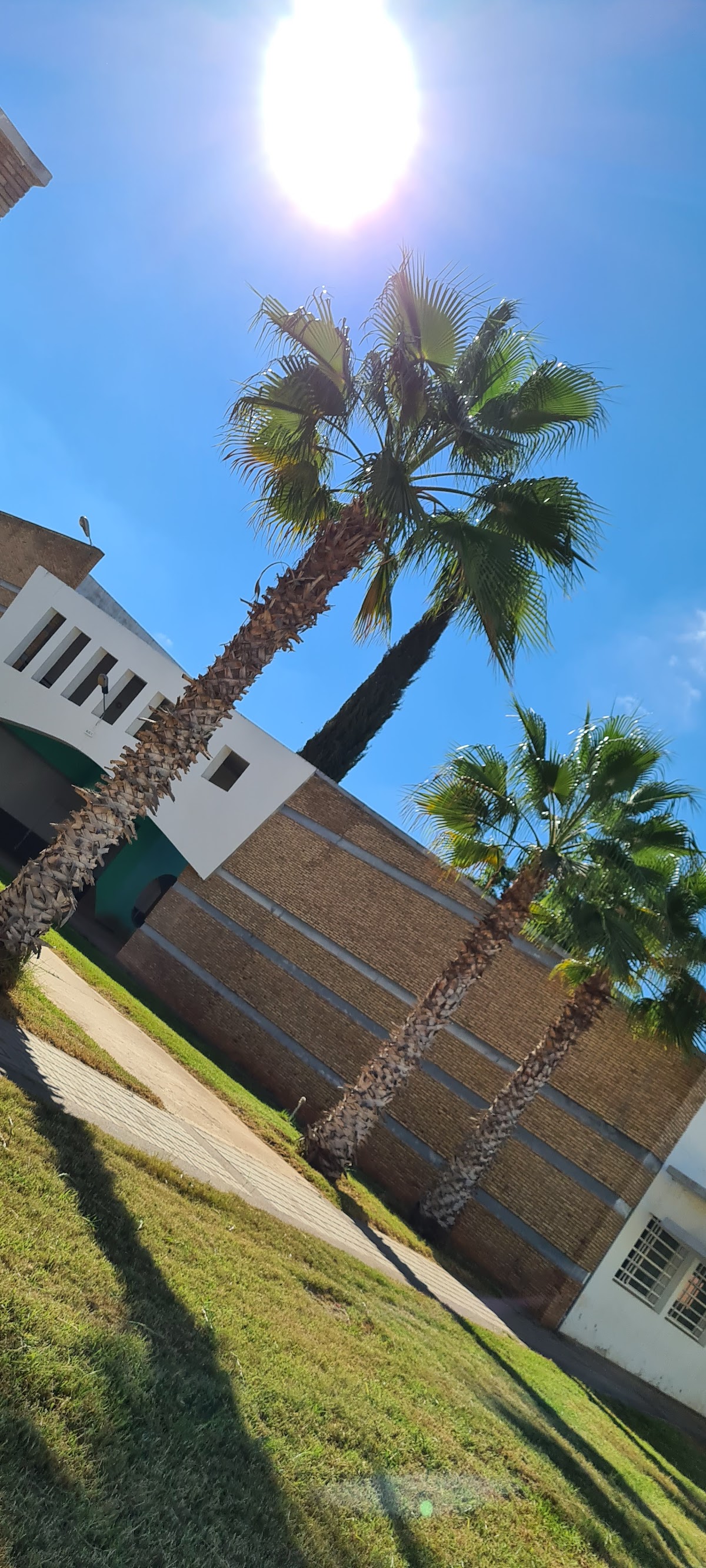 University Hassan I photo 7