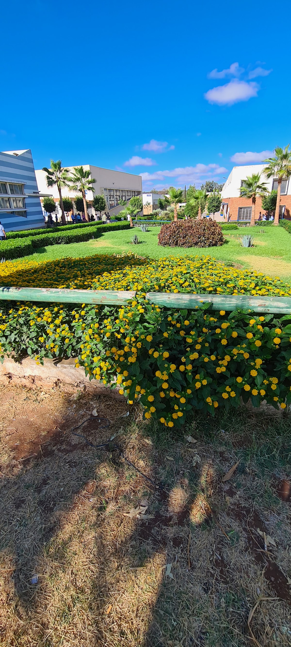 University Hassan I photo 8