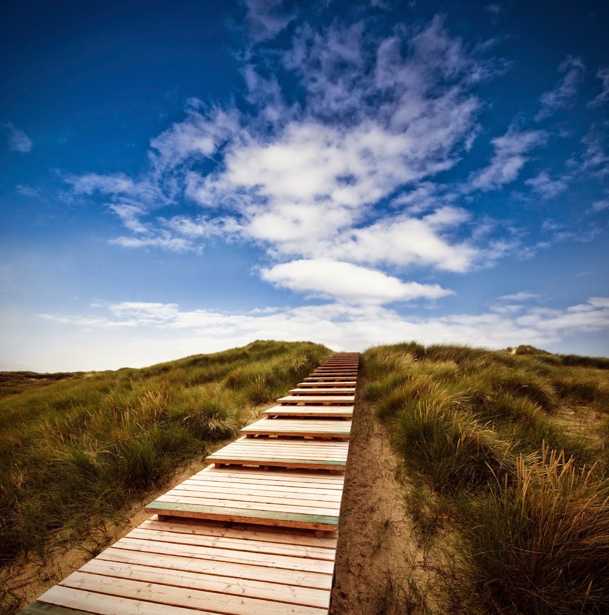 European Institute of Innovation and Technology (EIT) photo 9