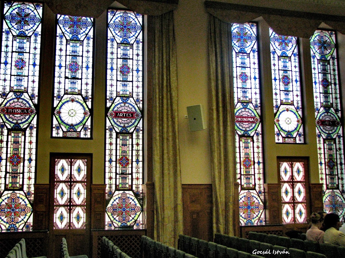 Pécs University photo 1