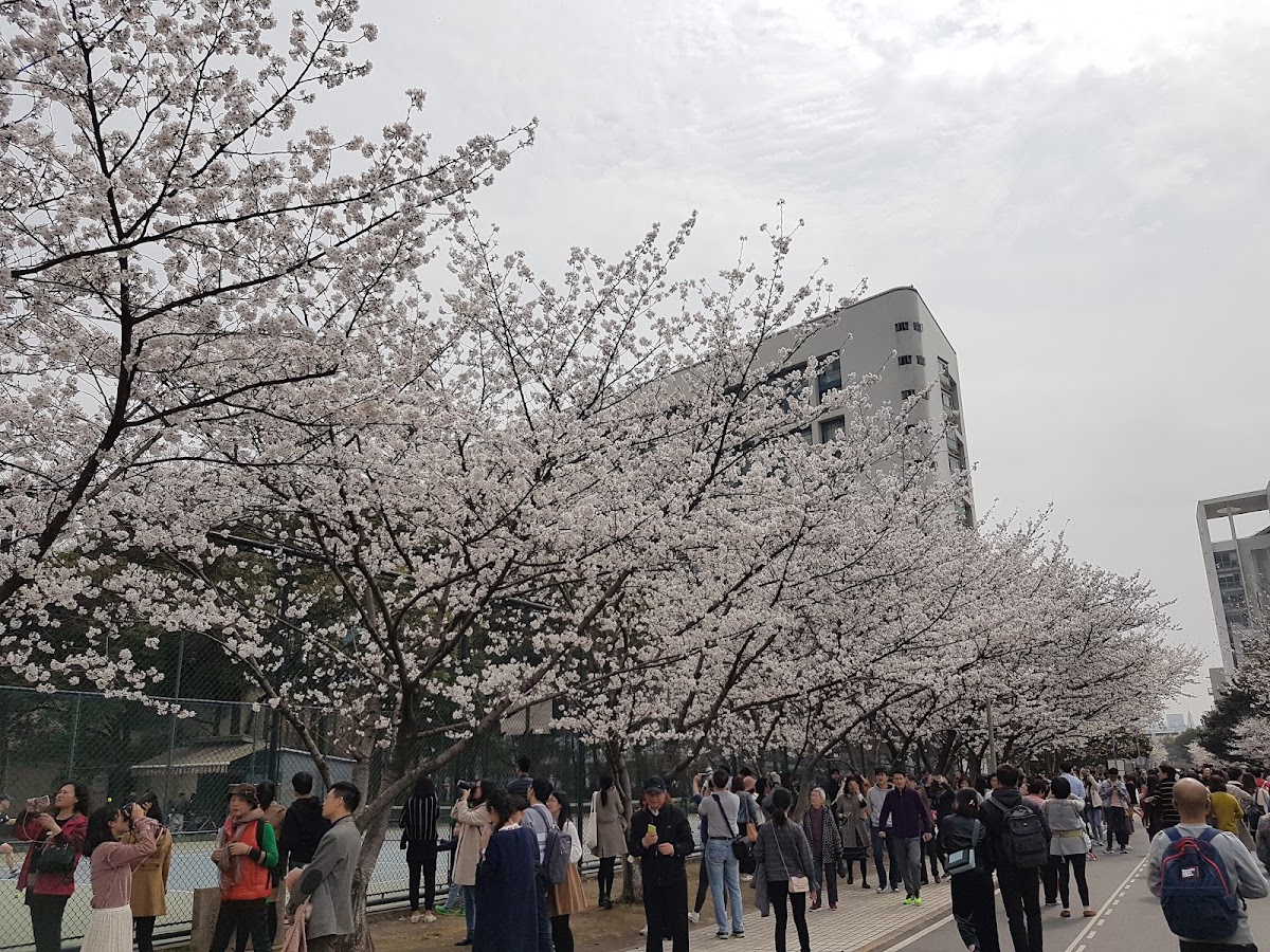 Tongji University photo 6