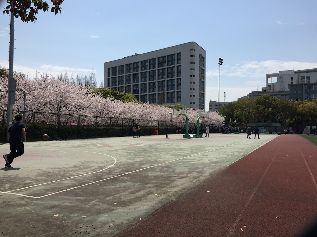 Tongji University photo 8