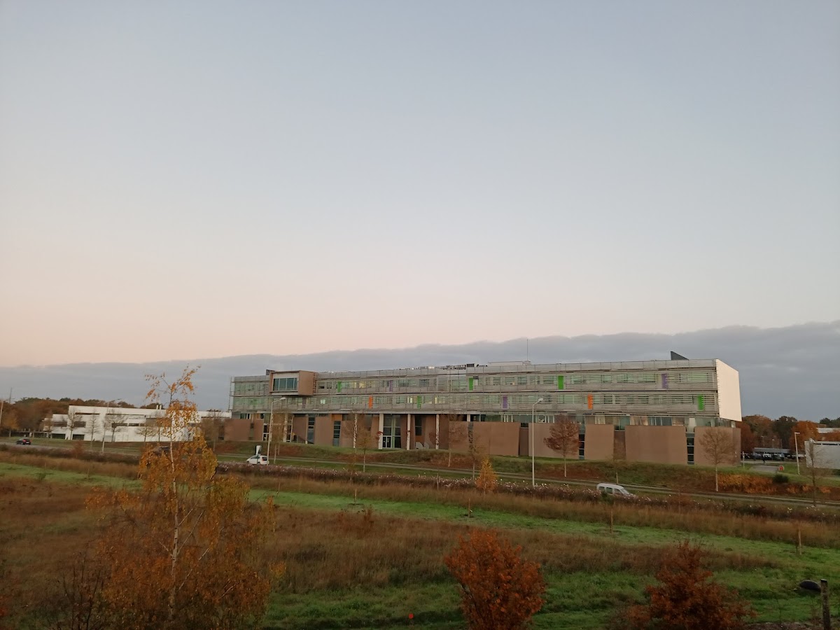 University of South Brittany photo 1