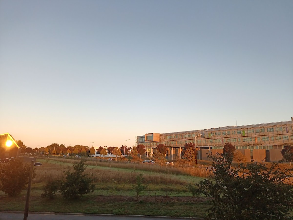 University of South Brittany photo 3