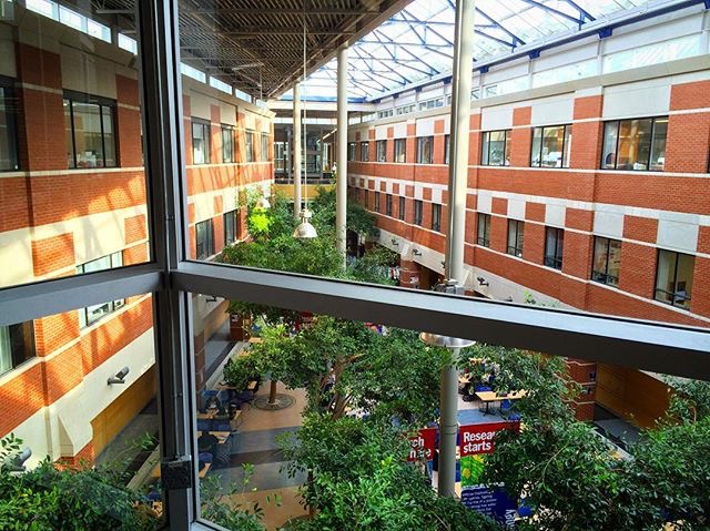 Wilfrid Laurier University photo 1