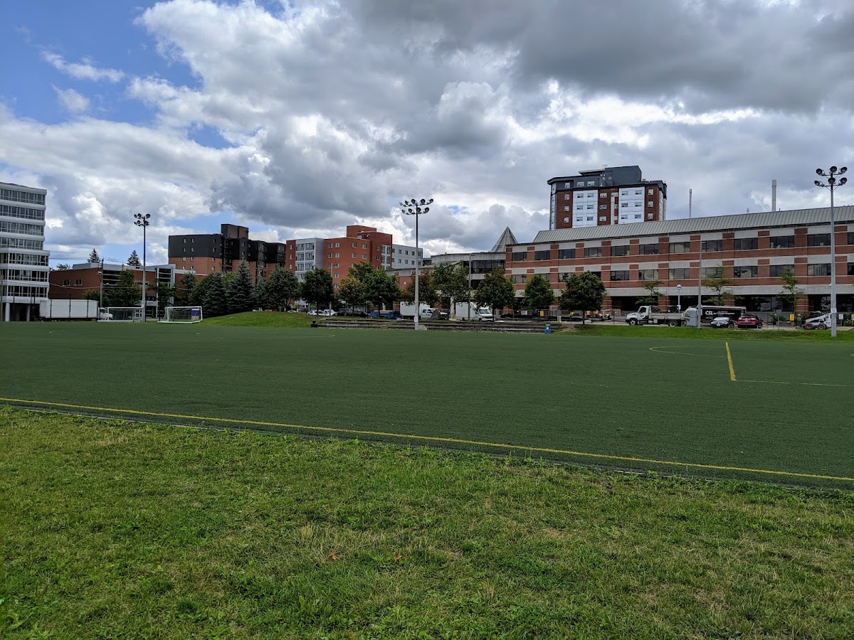 Wilfrid Laurier University photo 3