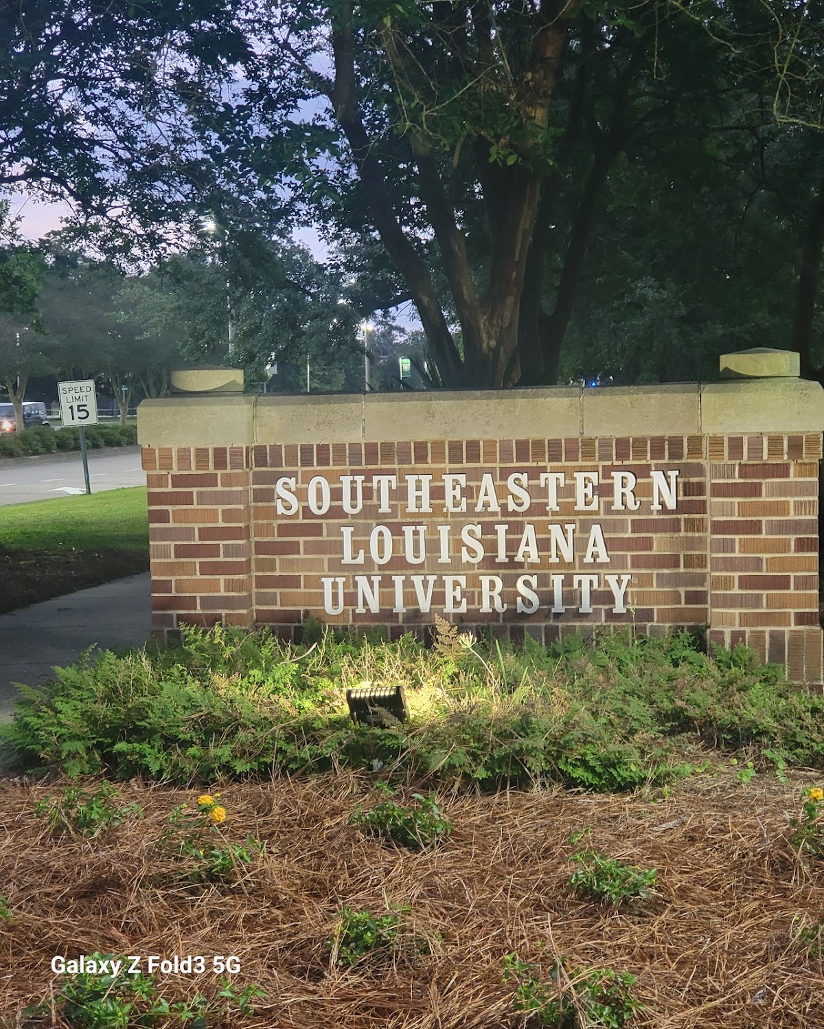 Southeastern Louisiana University photo 9