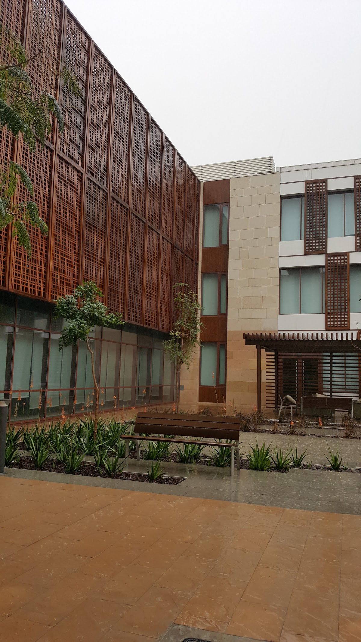 Doha Institute for Graduate Studies photo 9