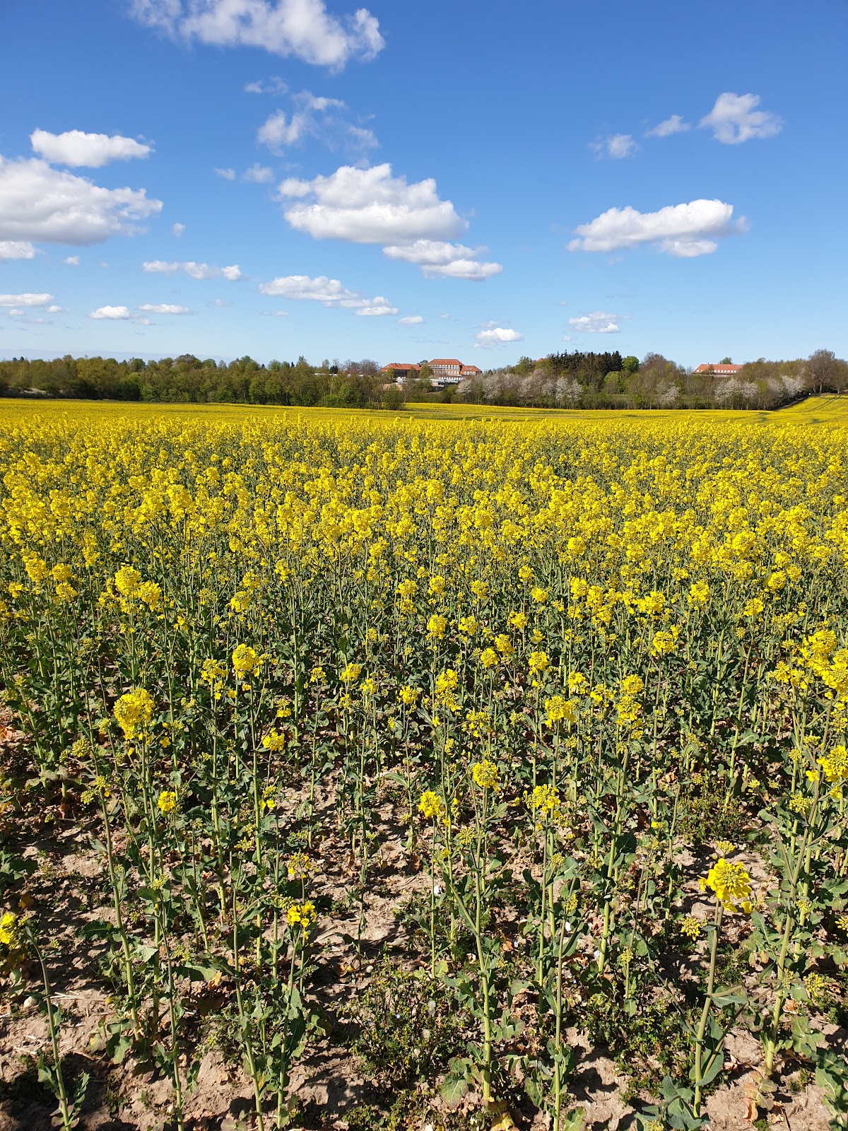 EUC Sjælland photo 8