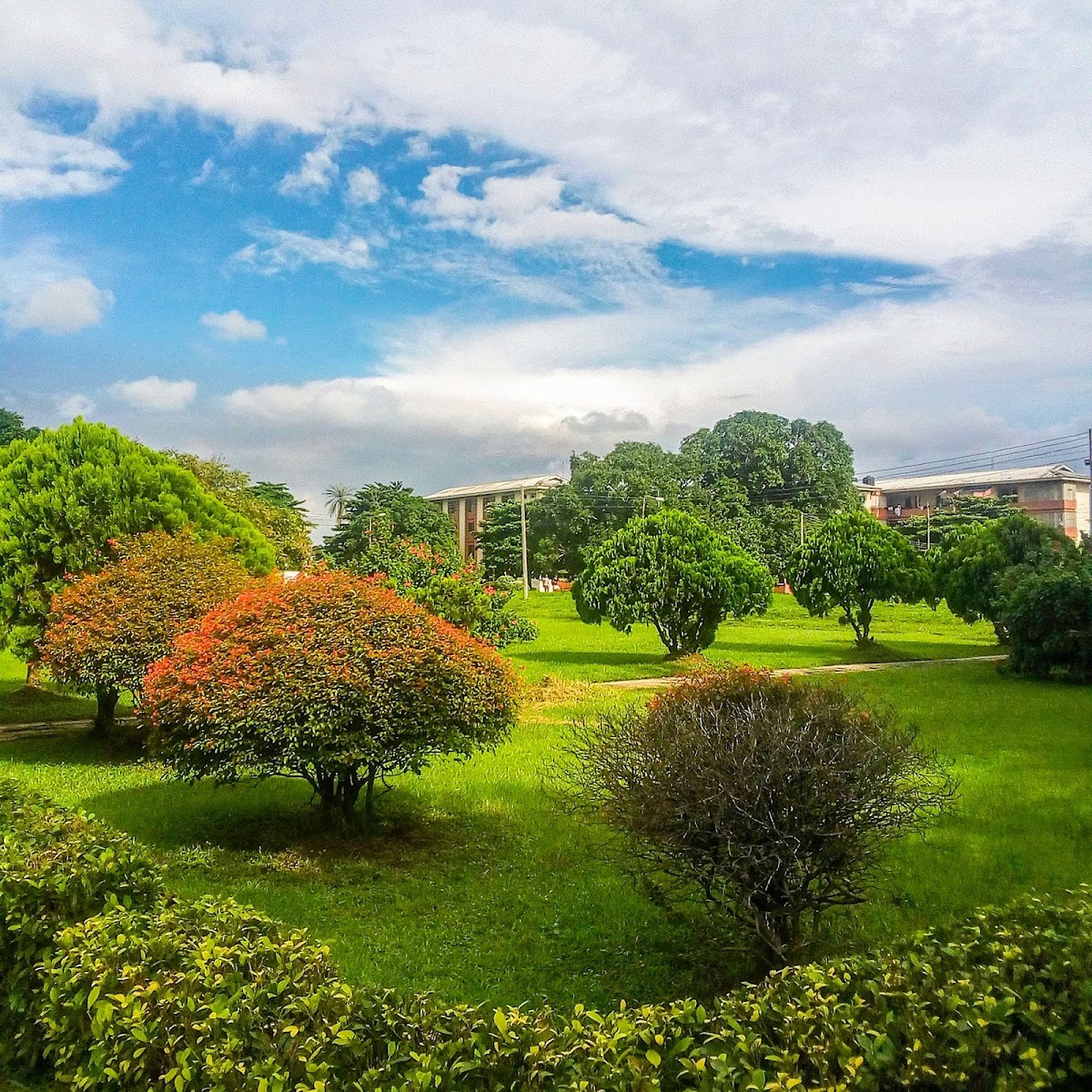 University of Port Harcourt photo 8