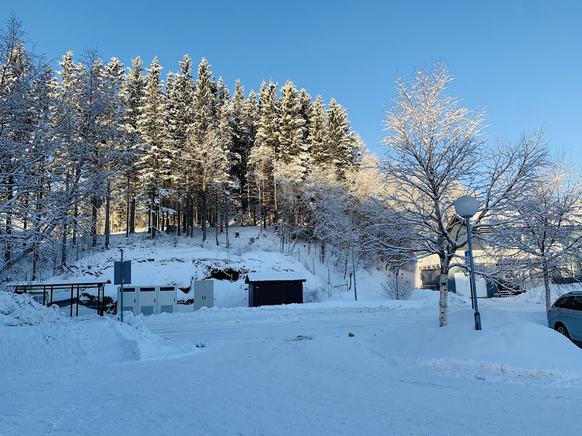 Nord University photo 6