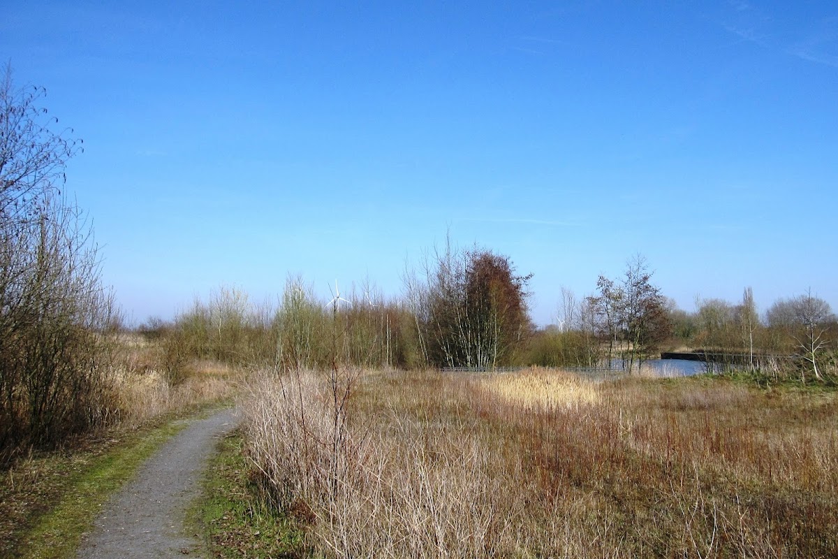 Katholieke Universiteit Leuven Kulak photo 5