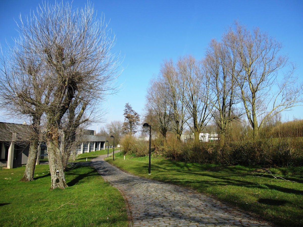 Katholieke Universiteit Leuven Kulak photo 9