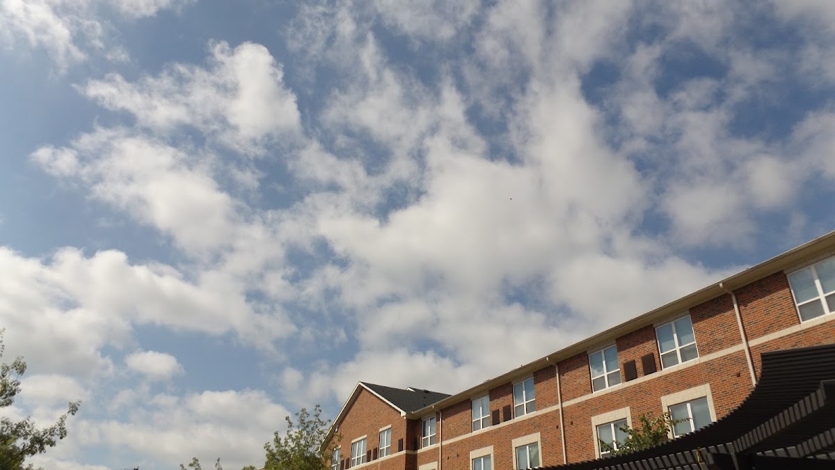 Tarleton State University photo 2