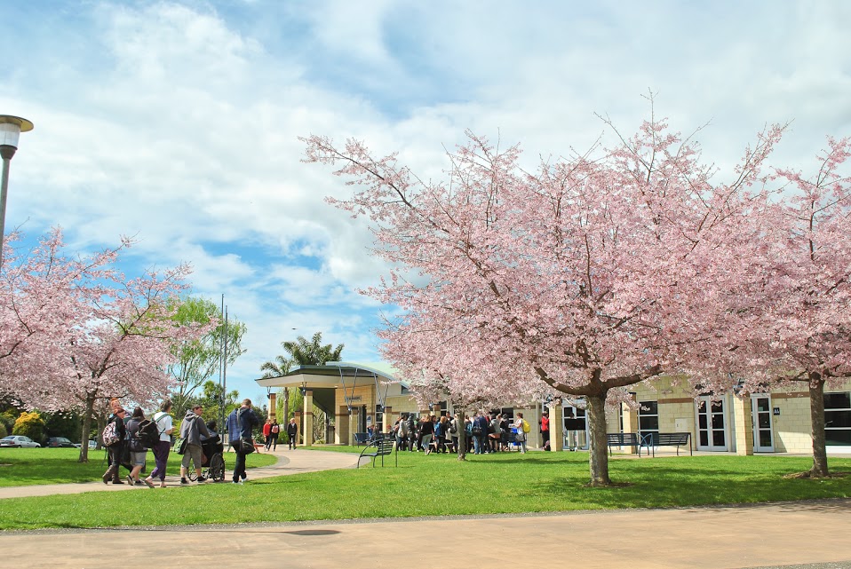 Toi Ohomai Institute of Technology photo 9