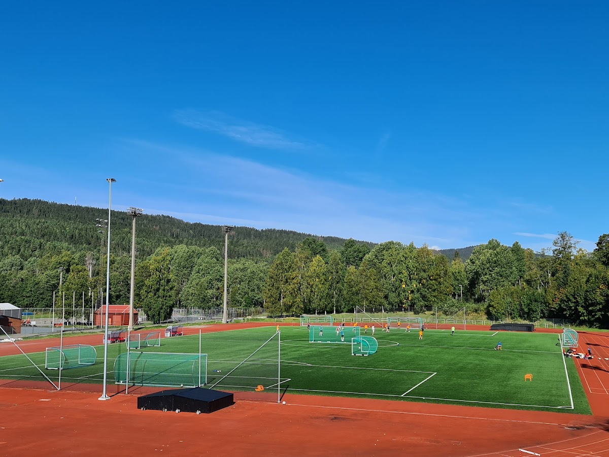 Norwegian School of Sport Sciences photo 3