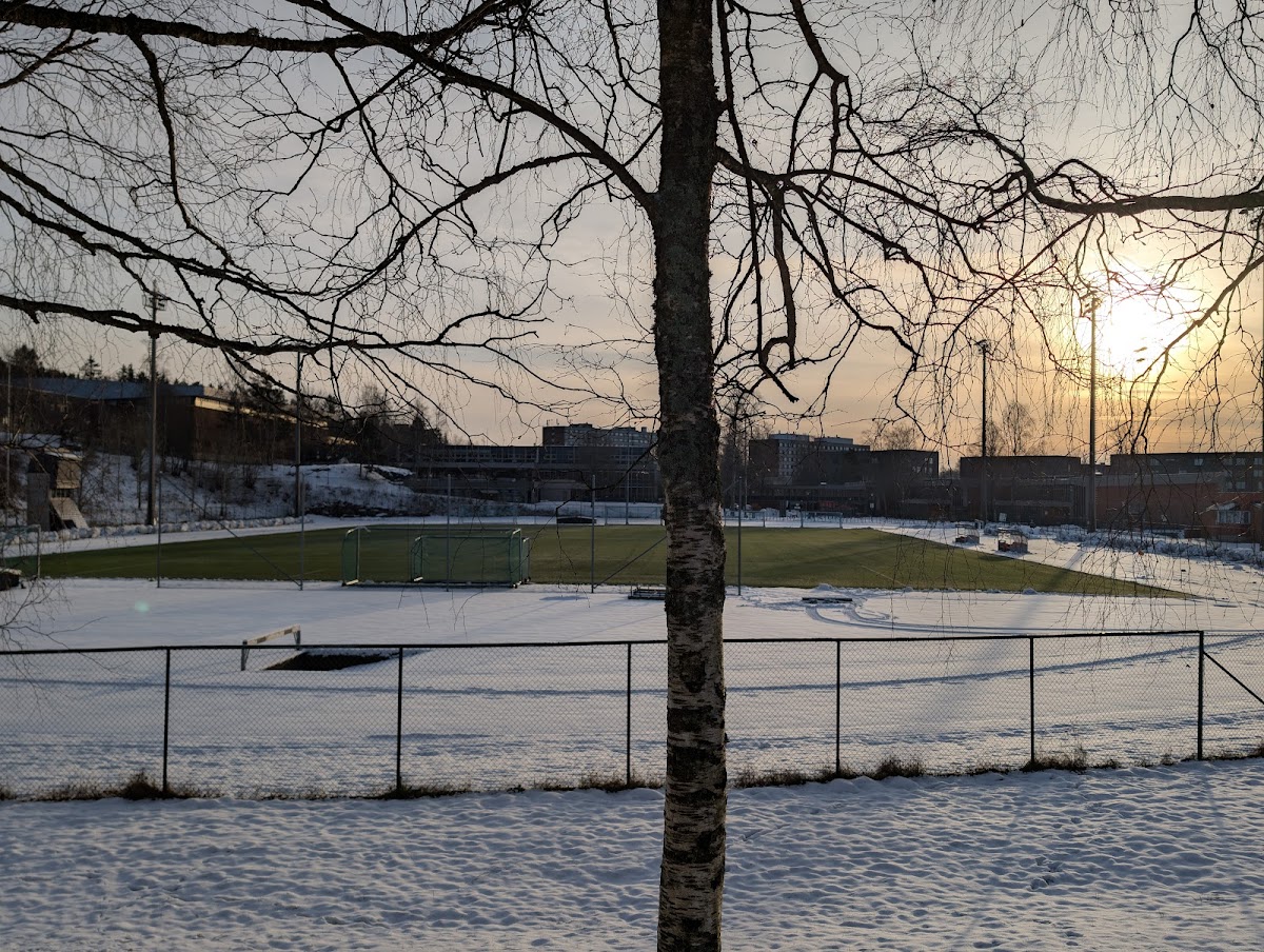 Norwegian School of Sport Sciences photo 5